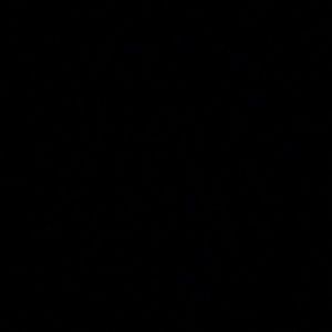 Meet your Posher, Linette